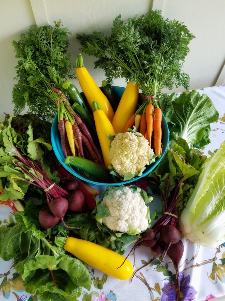 Zucchini, Karotten, Blumenkohl und anderes Gemüse aus dem Garten
